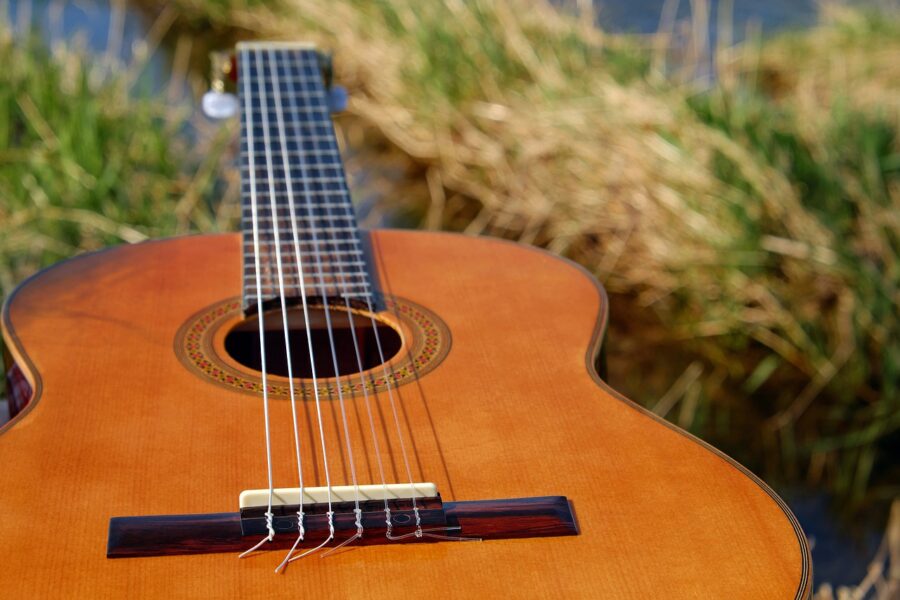 guitar, musical instrument, stringed instrument